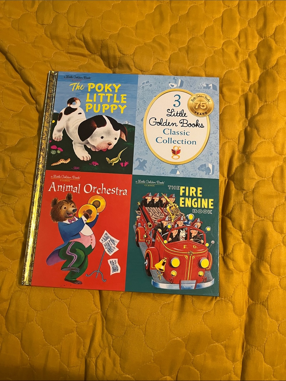 3-Book Kids Set - Multicolor